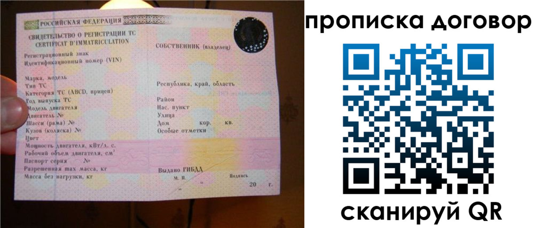 временная регистрация поиск в Светлом